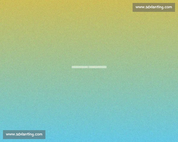 小牛队力克热火成功夺冠 总决赛回顾与精彩瞬间分析