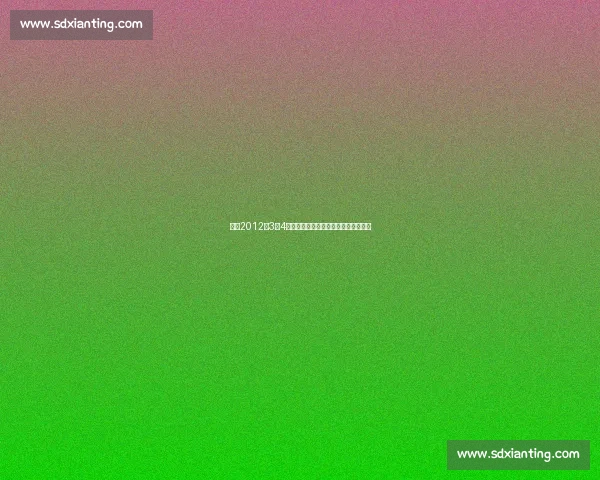 回顾2012年3月4日湖人对阵热火经典对决全场录像回放